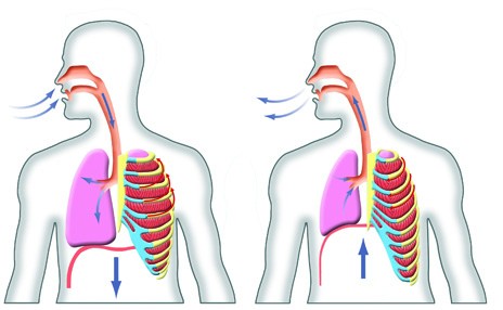 feeling your heartbeat throughout your body