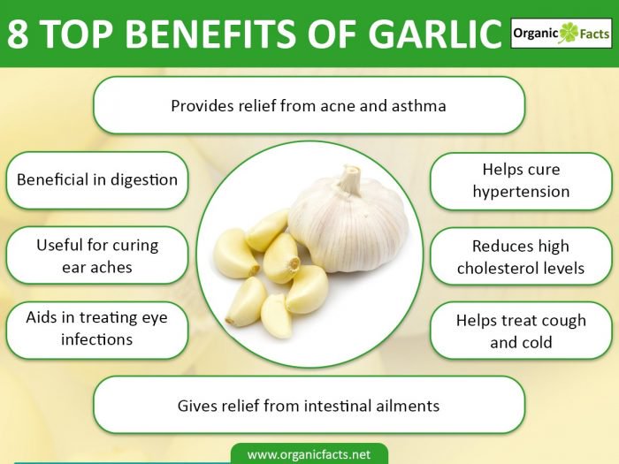 Benefits Of Garlic Nikki Kuban Minton