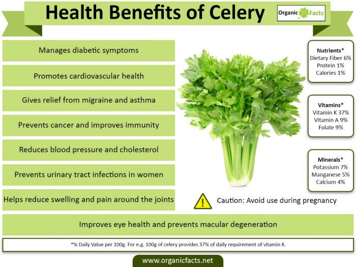 Benefits Of Celery Nikki Kuban Minton