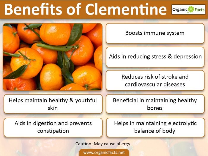 Clementine Nutrition: Benefits, Calories, Allergies and Recipes