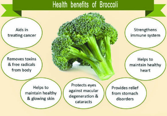 What is the Healthiest Part of Broccoli? – Why You Should Eat the Whole Vegetable