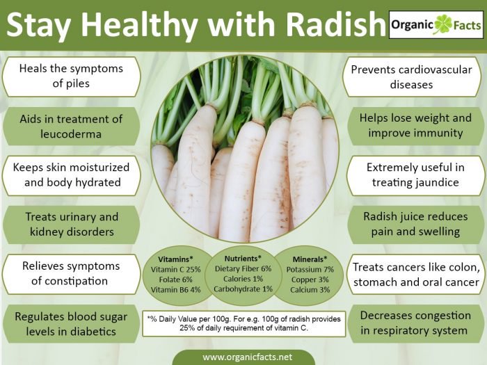 Health Benefits of Radishes Nikki Kuban Minton