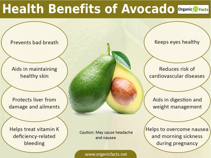 Health Benefits of Avocado Nikki Kuban Minton