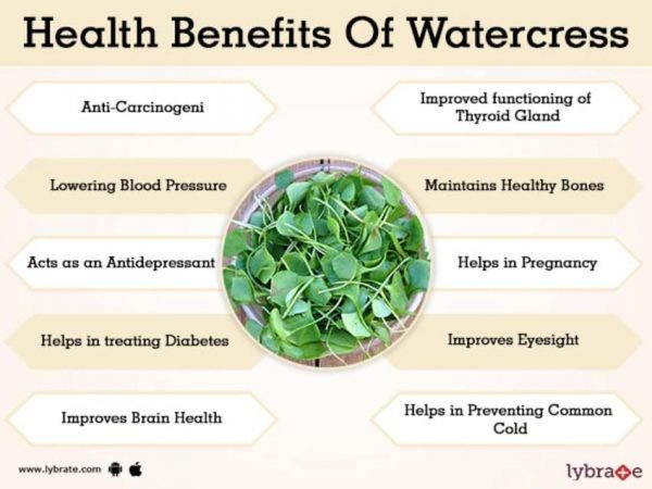 health-benefits-of-watercress-nikki-kuban-minton