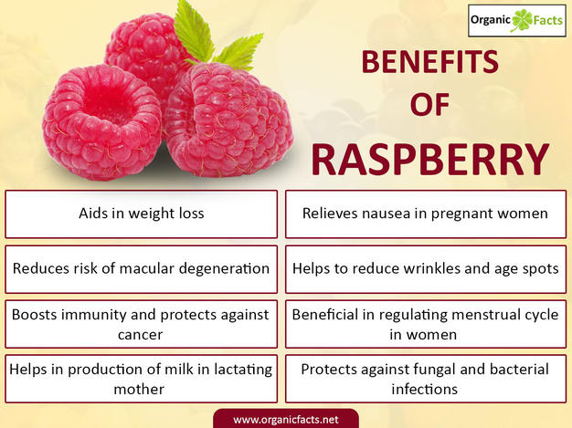 Raspberries: Benefits, Nutrition, and Facts