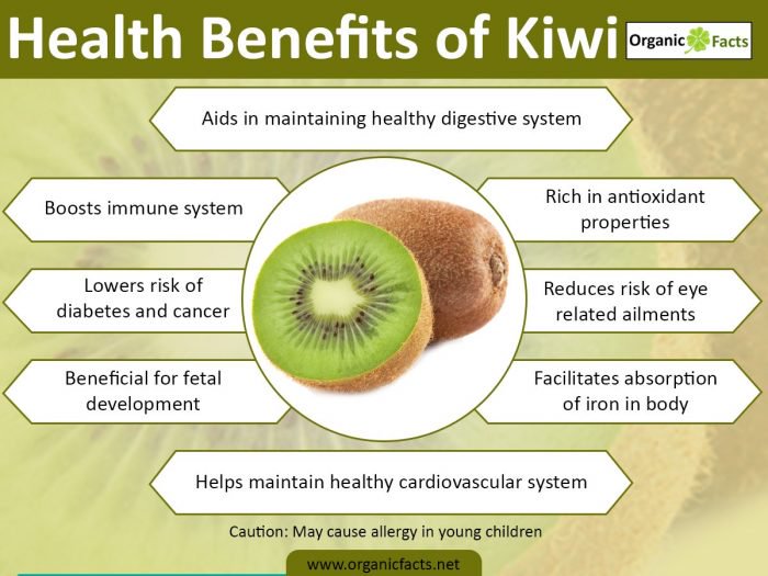 Health Benefits Of Kiwi Nikki Kuban Minton 4128