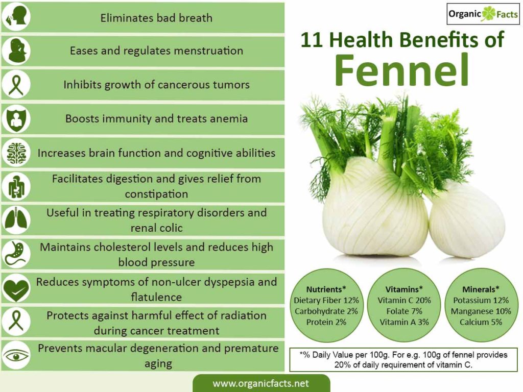 Health Benefits Of Fennel Nikki Kuban Minton