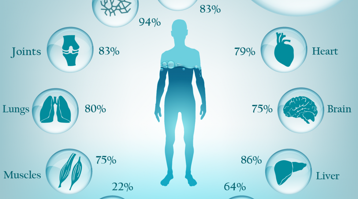 Питьевая вода сколько метров. Water in our body.