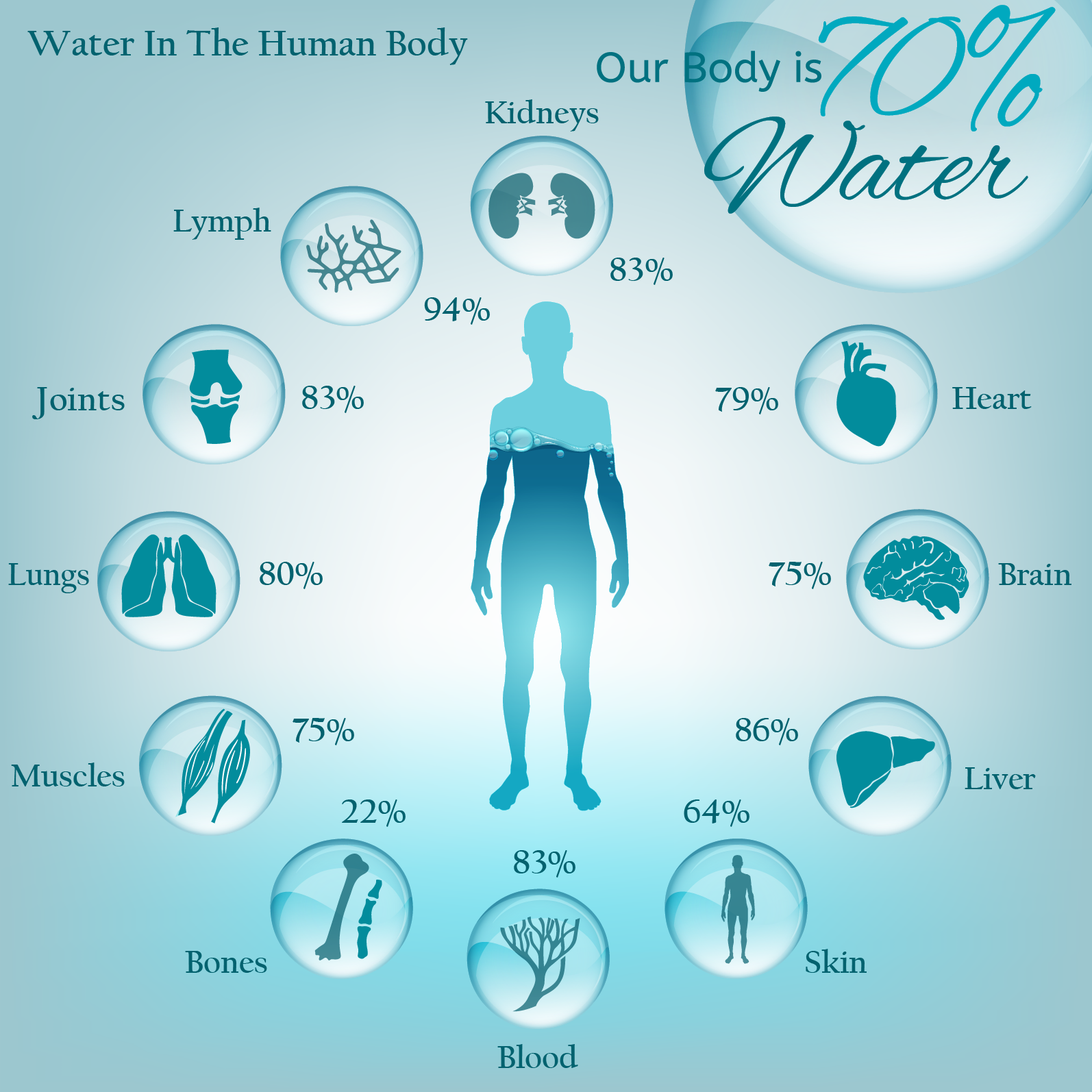 Why Is Water S High Specific Heat Important To Life