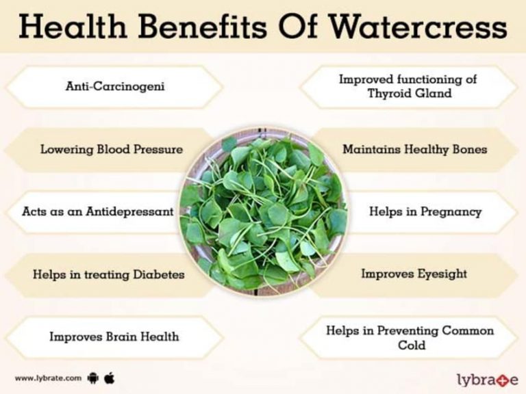 Health Benefits Of Watercress | Nikki Kuban Minton