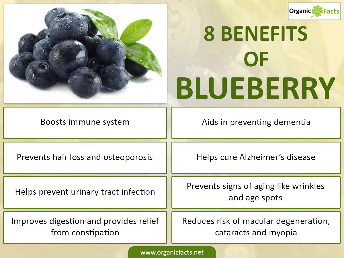 Кертис Блуберри. Blueberry перевод на русский. Blueberry benefits amazing benefits for overall Health. Бест бенефитс.