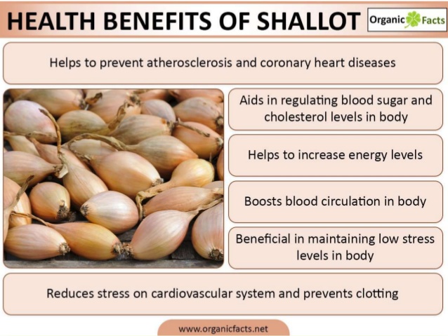 Health Benefits of Shallots