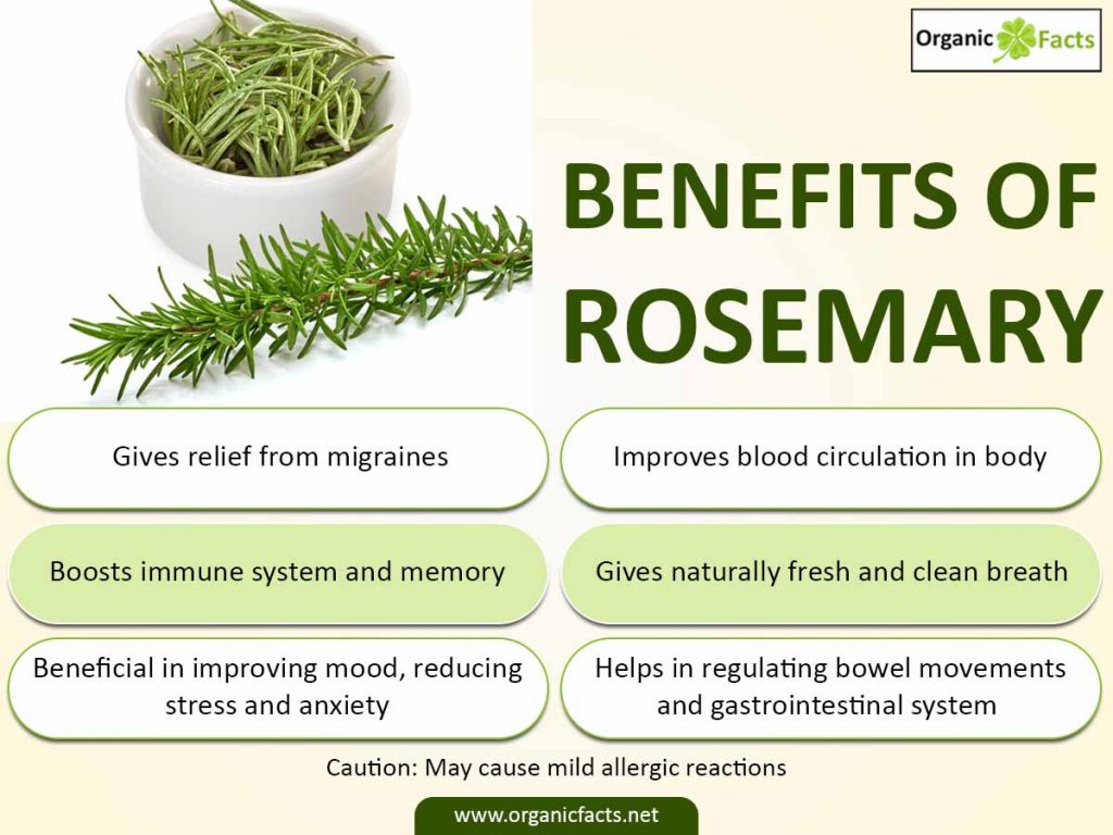 Health Benefits Of Rosemary Nikki Kuban Minton 0909