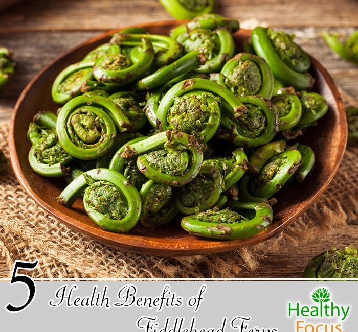 Health Benefits Of Fiddlehead Ferns Nikki Kuban Minton 0879